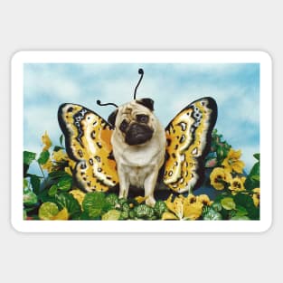 Butterfly Pug Dog Sticker